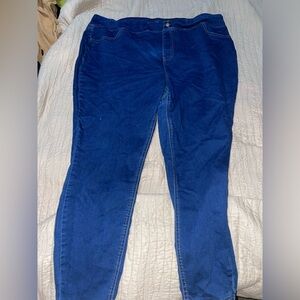 Terra&Sky Medium Wash Jegging 2X (20W-22W)